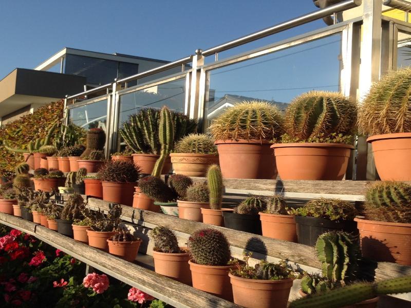 Ajo Garden - Contactless Check-in Apartament