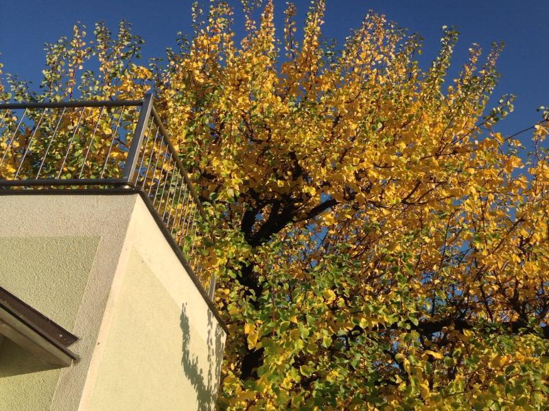 Ajo Garden - Contactless Check-in Wien
