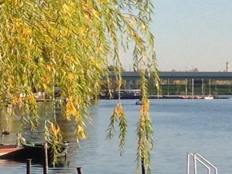 Ajo - Alte Donau Garden Flat - Self-check-in